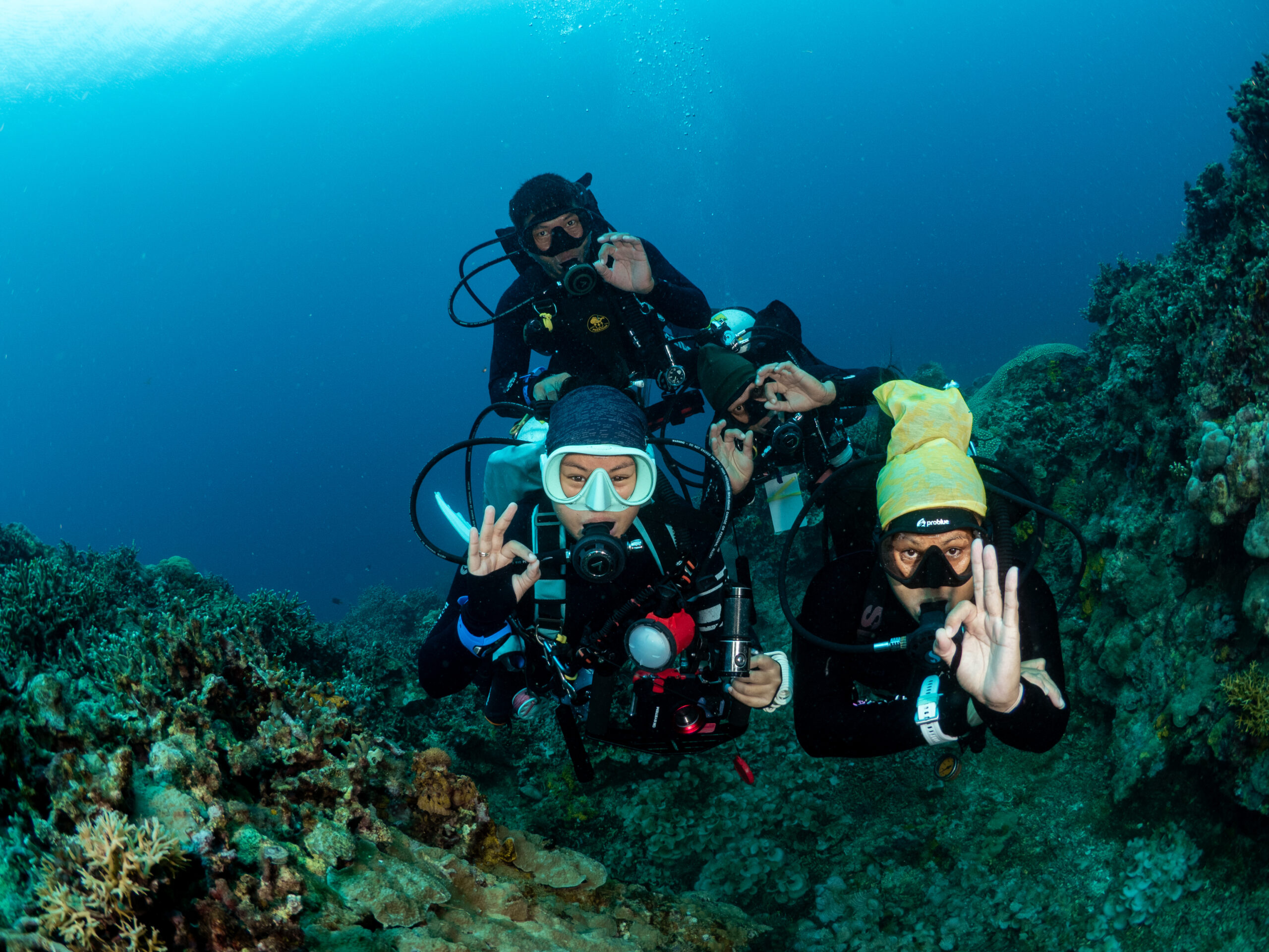 Dive Site_Arbol Reef_11_5210644
