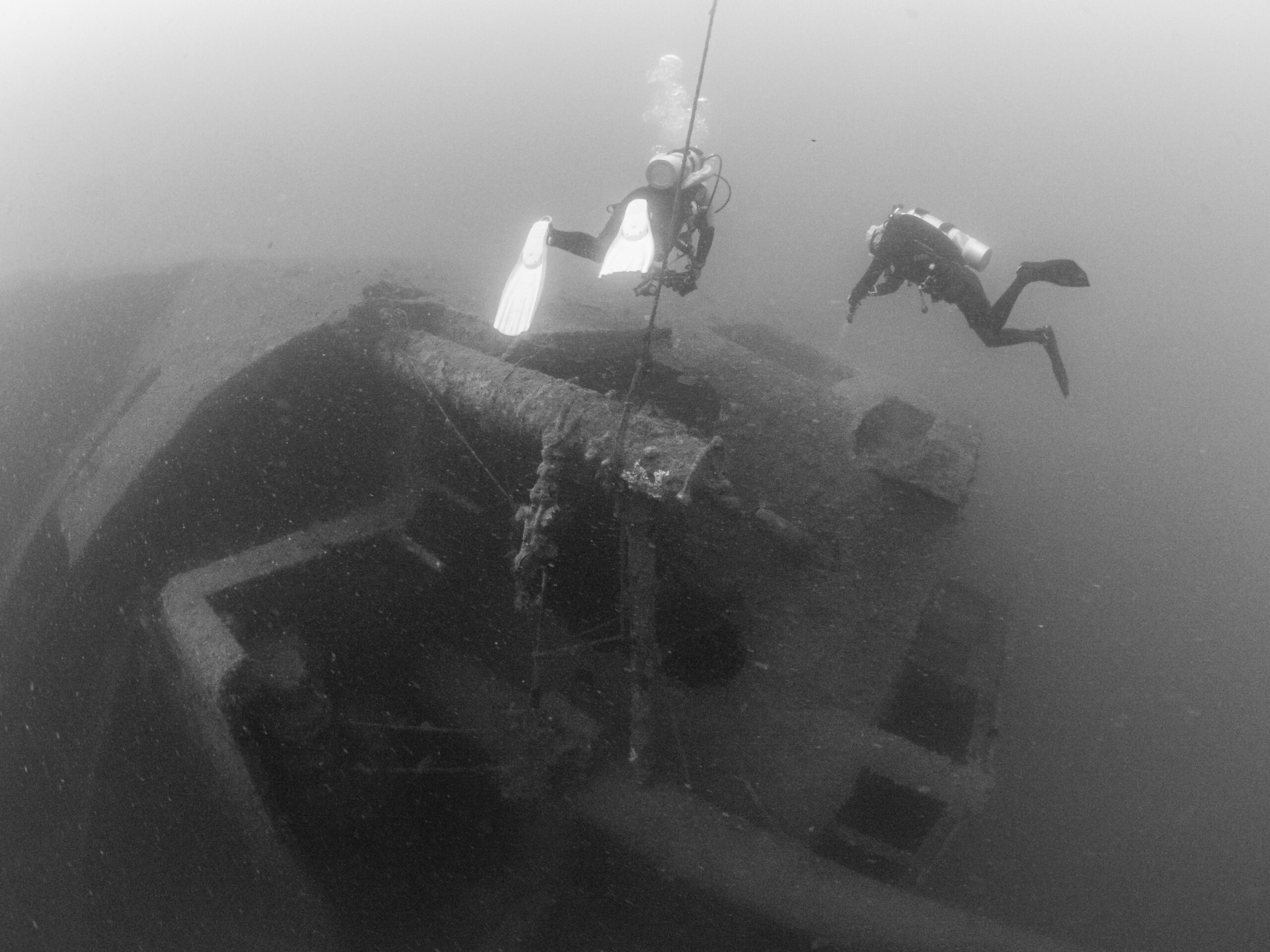 Dive site_MS Jojo_02_5230668 (1)
