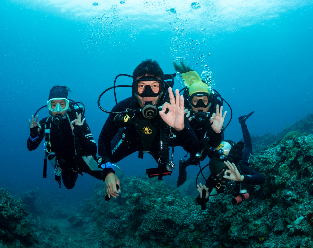 SCUBA-DIVING-ARBOL-REEF-HEADER-2