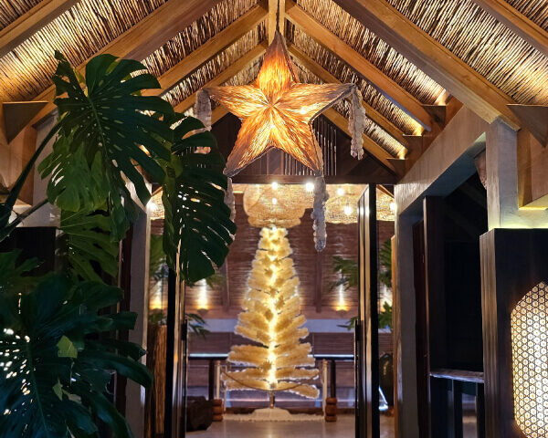 FESTIVE-2025-WEB-SUBPHOTO-HOLIDAY-DINING