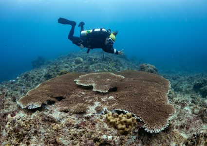Dive Site_Spiral Drop_09